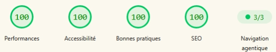 score-pagespeed : 100% partout
